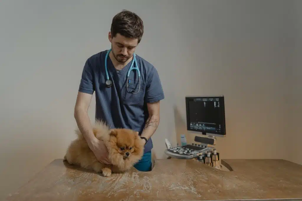DICOM Imaging Viewer for Veterinary Clinics