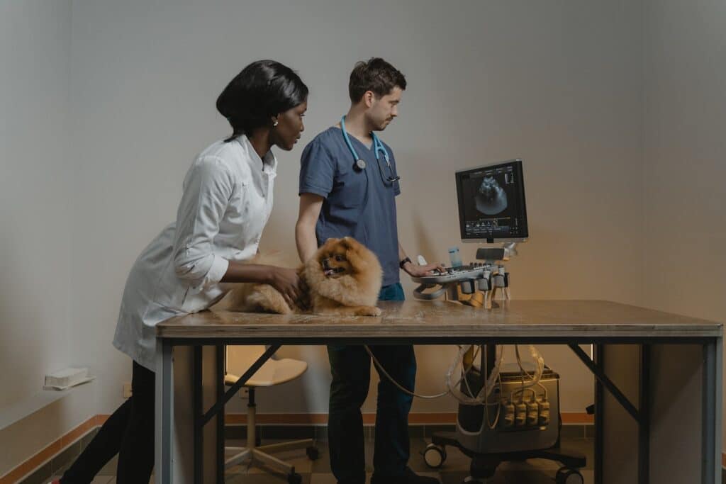 Gestión de imágenes médicas en la práctica veterinaria